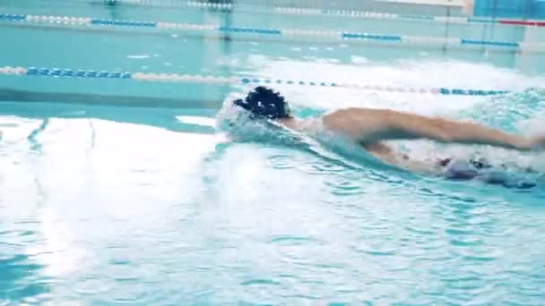 Close-up tiro de um nadador masculino profissional em uma piscina — Vídeo de Stock