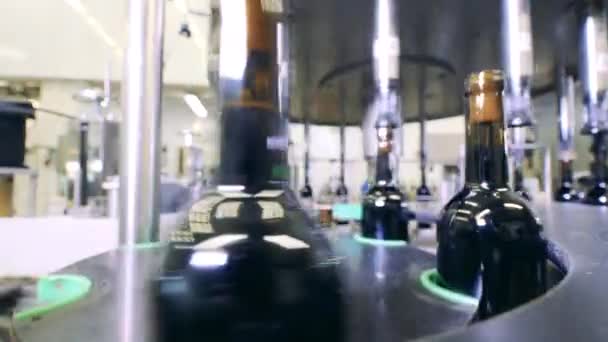 Transportador de botellas de vino en una fábrica. Transportador de embotellado automatizado. — Vídeos de Stock
