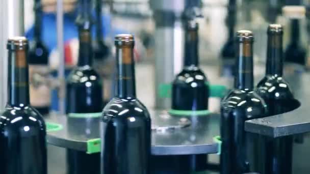 Convoyeur d'embouteillage automatisé. Bouteilles de vin se déplaçant le long du convoyeur dans une usine de vin — Video