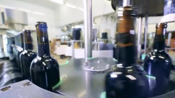Processo de produção de vinho em uma fábrica de vinho — Vídeo de Stock