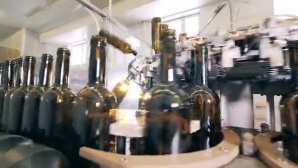 Weinabfüllanlage in einer modernen Fabrik. Weinproduktionsanlage. — Stockvideo