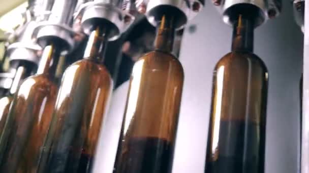 Κενά μπουκάλια κρασιού που γεμίζουν με κρασί — Αρχείο Βίντεο