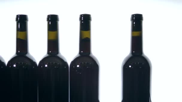 Beyaz arka planda mühürlü kırmızı şarap şişeleri — Stok video