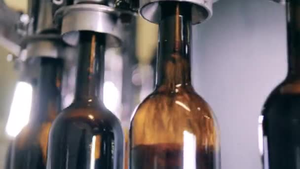 Nahaufnahme von mit Wein gefüllten Glasflaschen. Automatisiertes Abfüllband. — Stockvideo