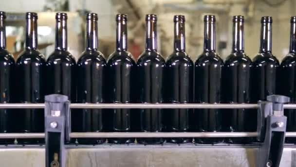 Линия для розлива красного вина — стоковое видео