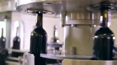 Modern bir fabrikada şarap şişesi dönen taşıyıcı.