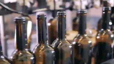 Boş şarap şişeleri konveyör boyunca hareket eder.