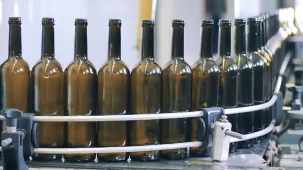 Instalação de produção de vinho. Garrafas de vinho se movem ao longo do transportador em uma fábrica de engarrafamento de vinho — Vídeo de Stock