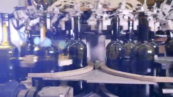 Modern wine bottle conveyor belt — Stock Video