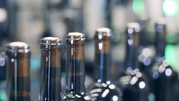 Close-up tiro de garrafa de vinho transportador — Vídeo de Stock