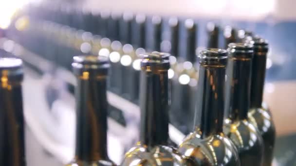 Produktionslinie zur Abfüllung von Wein in einer Fabrik. Automatisiertes Abfüllband. — Stockvideo