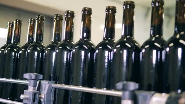 装满红酒的玻璃瓶沿着传送带移动 — 图库视频影像