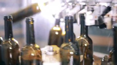 Bir şarap fabrikasında modern şişeleme üretim hattı. Şarap üretim tesisi.