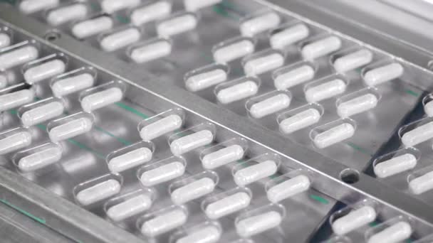 Des plaquettes thermoformées contenant des capsules circulent le long du convoyeur. Ligne de production d'usine pharmaceutique. — Video