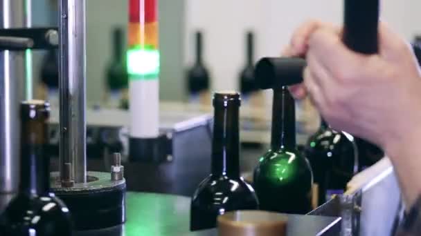 Travailleurs qui fixent des capsules sur des bouteilles de vin dans une usine — Video