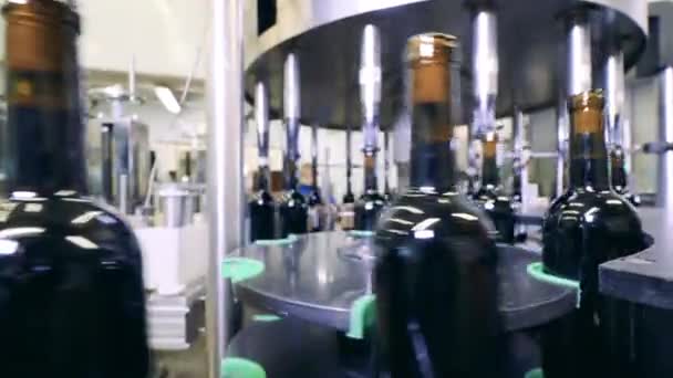 Linha de produção de engarrafamento de vinho em uma fábrica moderna — Vídeo de Stock