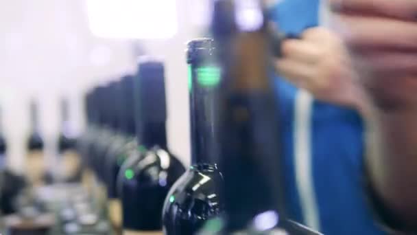 Les travailleurs mettent des bouchons sur des bouteilles de vin scellées — Video