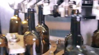 Cam şişeler şarap fabrikasındaki konveyör boyunca hareket ediyor.