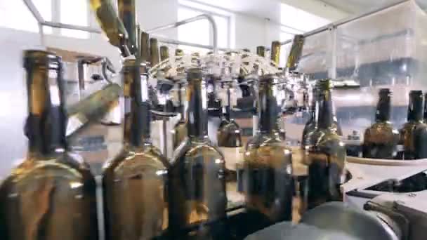 Botol anggur kosong bergerak sepanjang sabuk konveyor — Stok Video