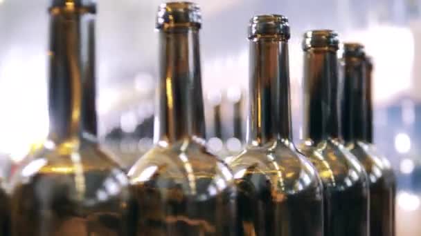Vista de cerca de botellas de vino moviéndose lentamente a lo largo de la línea de producción — Vídeo de stock
