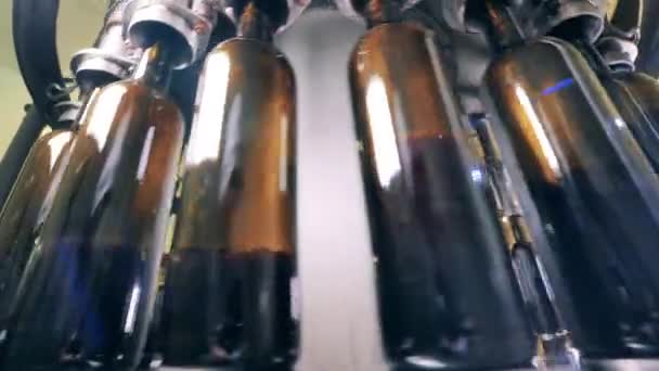 Moderne machine die wijnflessen vult — Stockvideo