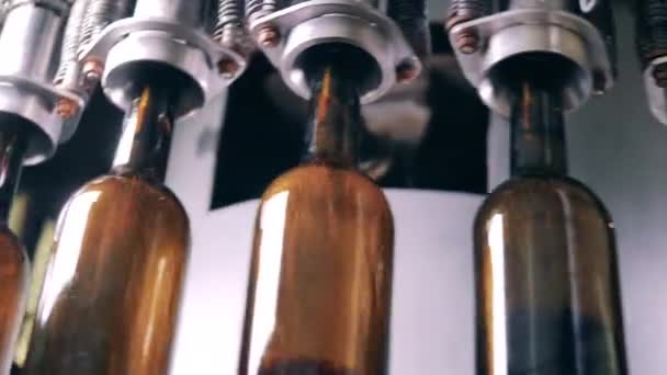 Ειδικό μηχάνημα γεμίστε τα άδεια μπουκάλια με κρασί — Αρχείο Βίντεο