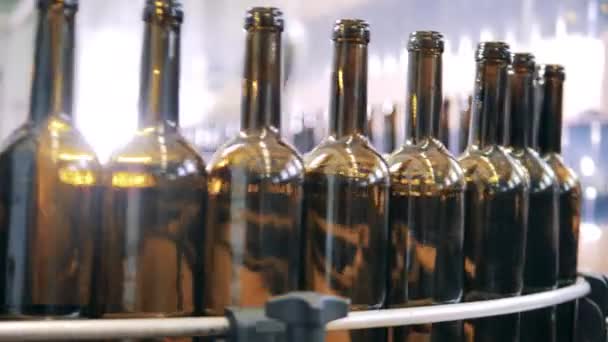 Bouteilles en verre vides se déplacent le long du convoyeur de bouteilles dans une cave — Video
