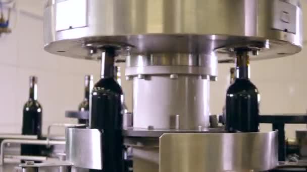 Produktionslinie zur Abfüllung von Wein in einem modernen Weingut — Stockvideo