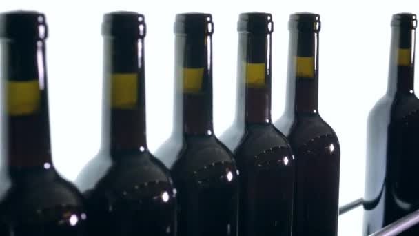 Flaschen Rotwein bewegen sich langsam über das Förderband auf weißem Hintergrund — Stockvideo