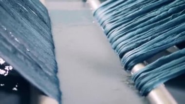 Tekstil üretimi, kıyafet üretim konsepti. İplik şeritleri boyamadan sonra yıkanır.