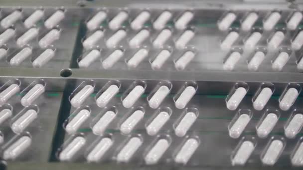 Kapselmedikamente bewegen sich in Plastikblasen — Stockvideo