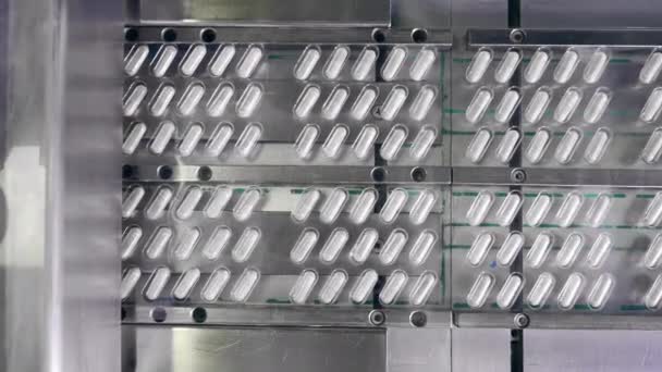 Metalowy przenośnik przenosi pęcherze za pomocą leków w kapsułkach. — Wideo stockowe