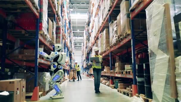 Engineer bedient een robot in de opslag — Stockvideo