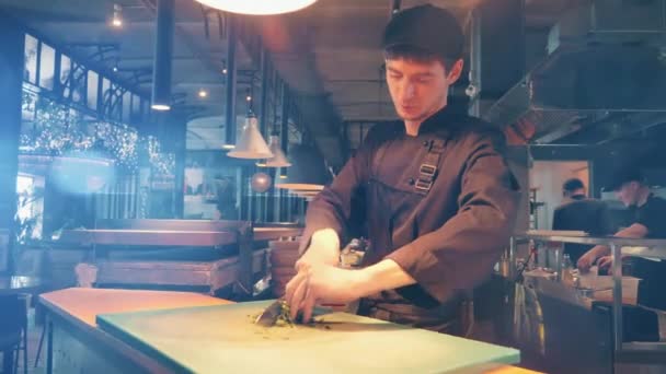 Man restaurang arbetare skär örter — Stockvideo