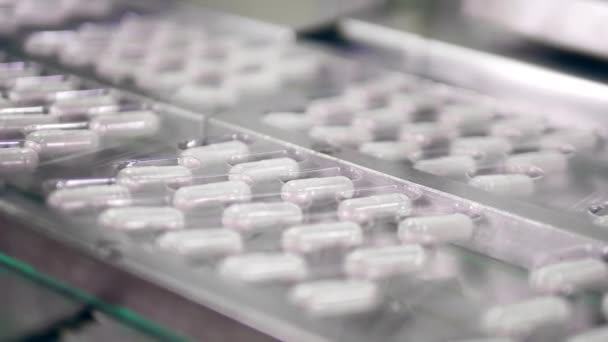 Blisters with capsule pills moving along the conveyor — Stock Video