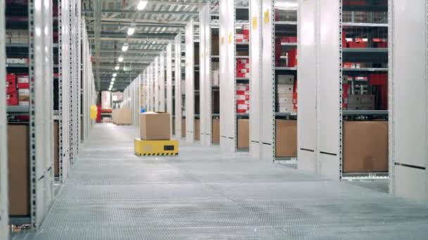 Robô está transportando uma caixa de papelão através do armazenamento — Vídeo de Stock