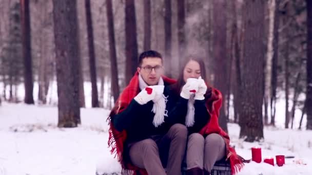 若い恋人は、冬の森で楽しいを持っているカップル. — ストック動画