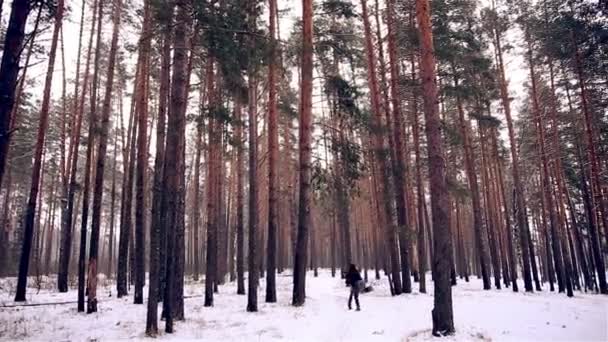 年轻的恋人，夫妻在冬季森林有乐趣. — 图库视频影像