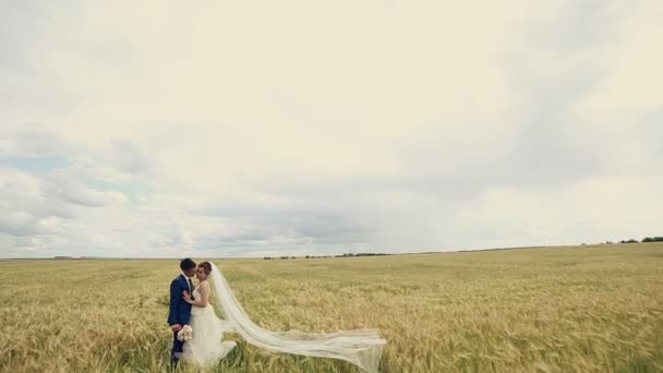 Casal jovem, acabou de se casar apaixonado a olhar para um campo de trigo. Olhando um para o outro . — Vídeo de Stock