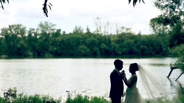 Pareja cariñosa sosteniendo cada uno cerca de teh lago . — Vídeo de stock