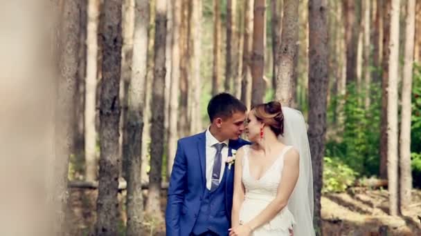 Jong koppel, net getrouwd in liefde stading onder de enorme bomen. Kijken naar elkaar. — Stockvideo