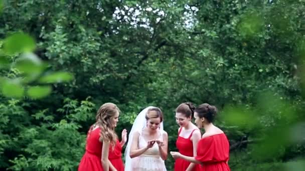 Эмоциональная невеста и подружки невесты разговаривают и смеются. Медленное движение . — стоковое видео