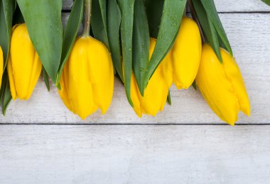 Beyaz ahşap zemin üzerine Sarı laleler