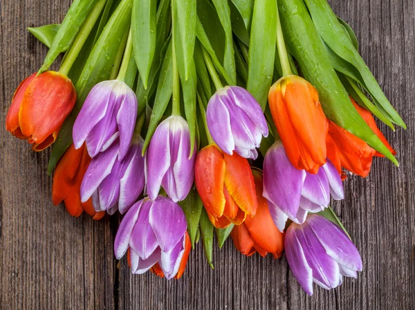 Bouquet de tulipes rouges et violettes sur fond bois — Photo