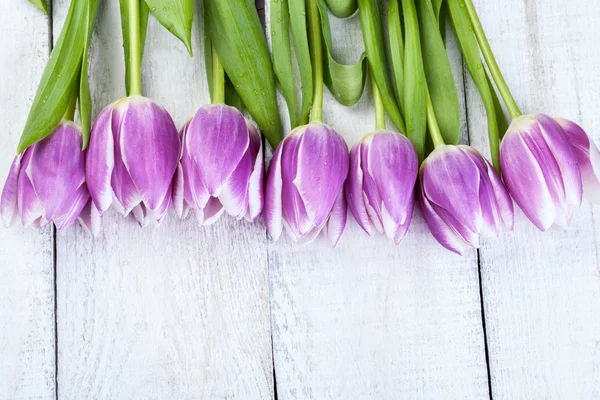 Tulipes violettes sur fond en bois — Photo