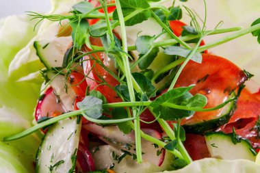 Vegetable salad with radish, tomato, cucumber and herbs