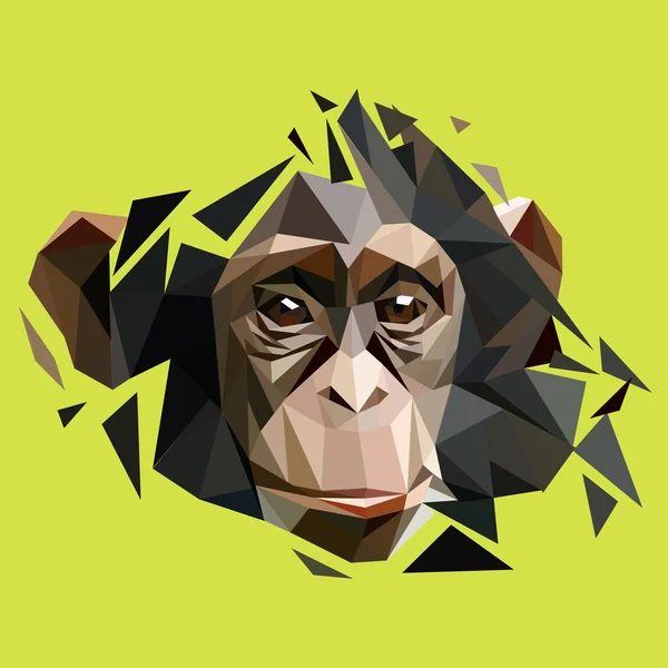 Mignon visage de singe polygone — Image vectorielle