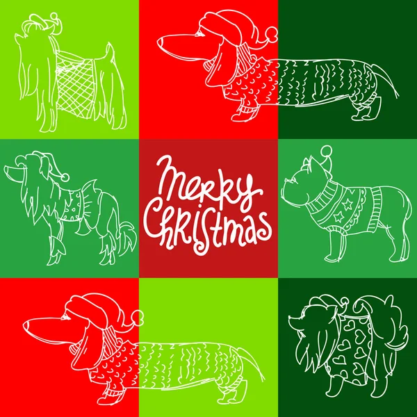 Különböző kutyák-val karácsony kalapok — Stock Vector