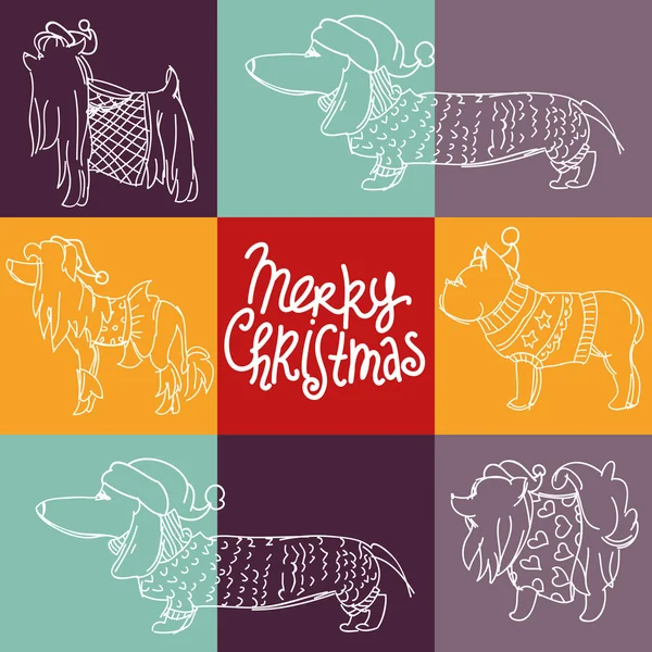 Különböző kutyák-val karácsony kalapok — Stock Vector