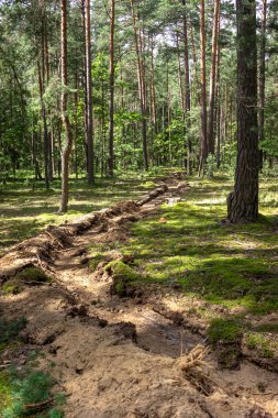 Sürekli mineralleştirilmiş şerit, yer yangını için aşılamaz. Tüttürme, yangın başlamadan önce önleyici bir önlem olarak kullanılır.